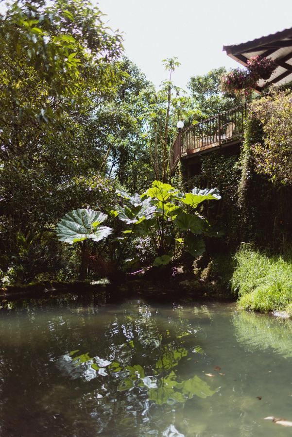 Trogon Lodge San Gerardo de Dota Exterior foto